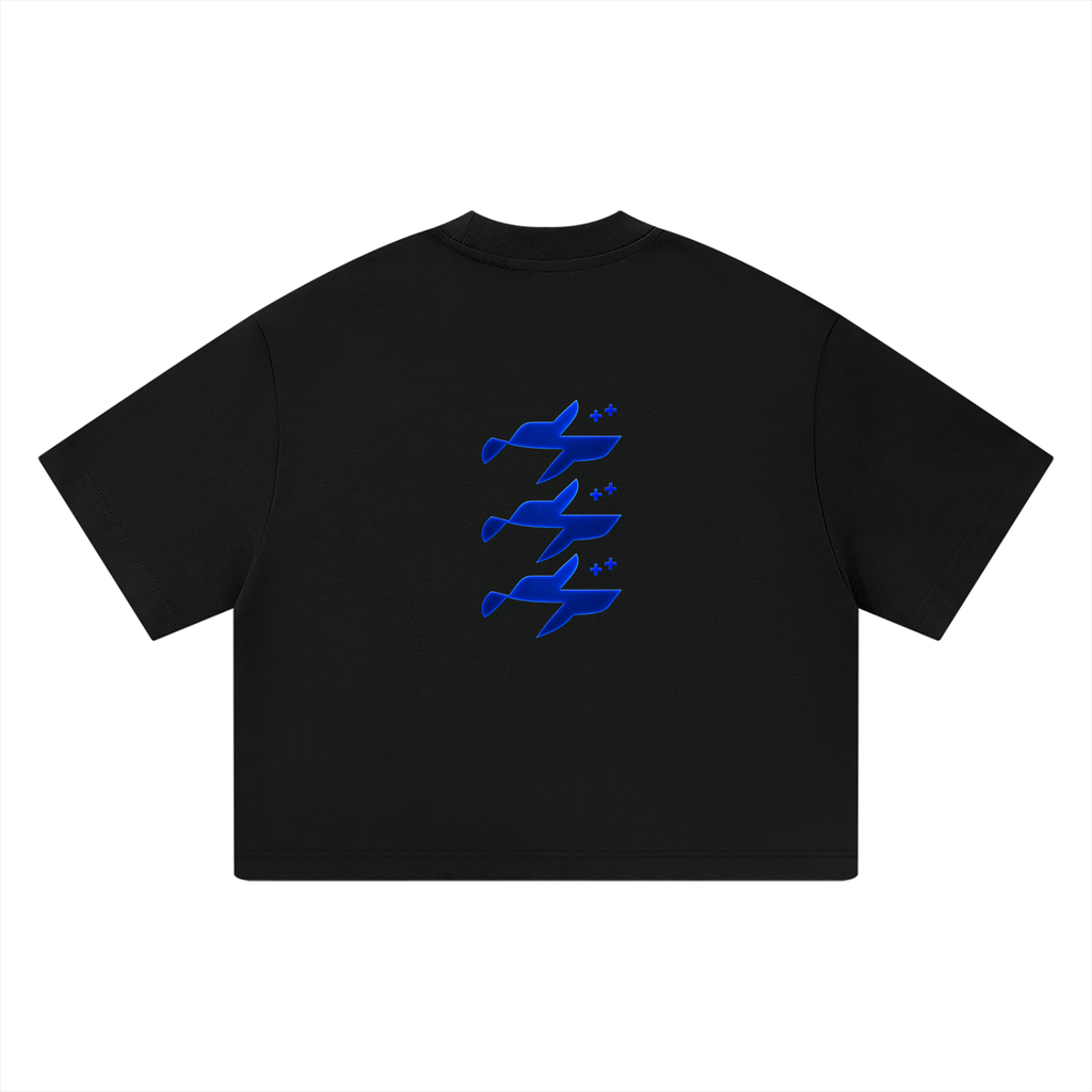 Unisex Heavyweight Boxy T-Shirt