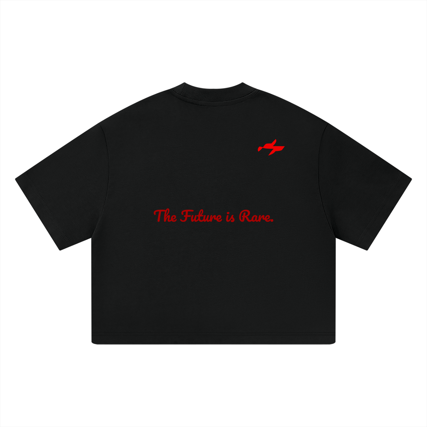 Unisex Heavyweight Boxy T-Shirt