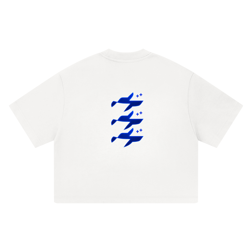 Unisex Heavyweight Boxy T-Shirt